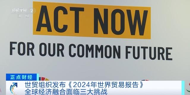 世贸组织发布《2024年世界贸易报告》：全球经济融合面临三大挑战(图4)