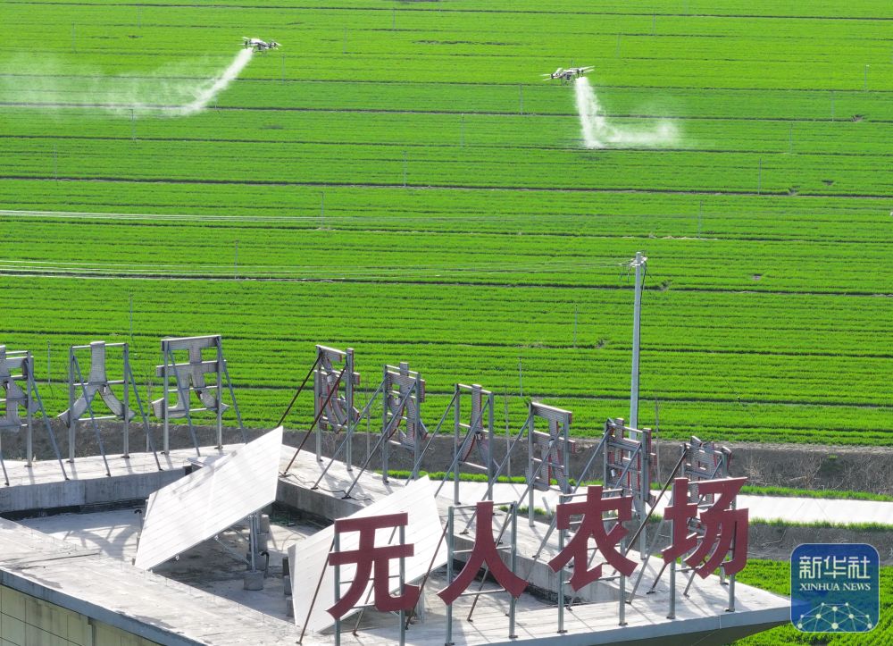 年终报道·砥砺2024｜顶风破浪中国经济奋力向前(图6)