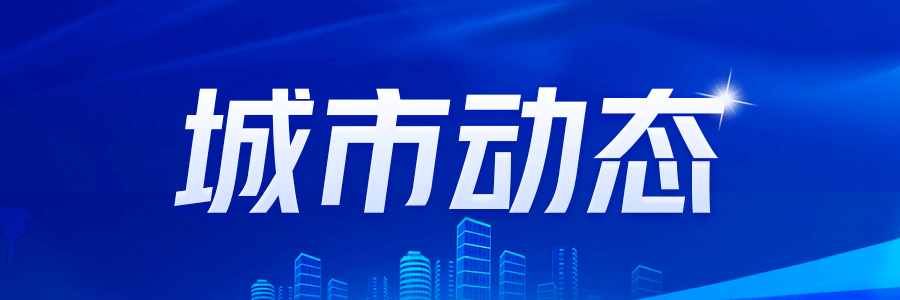2024年中国住房租赁市场深度解析