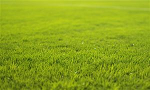 九游娱乐NineGame：2024银行行业市场深度分析：大模型催化“未来银行”迭代发展(图7)