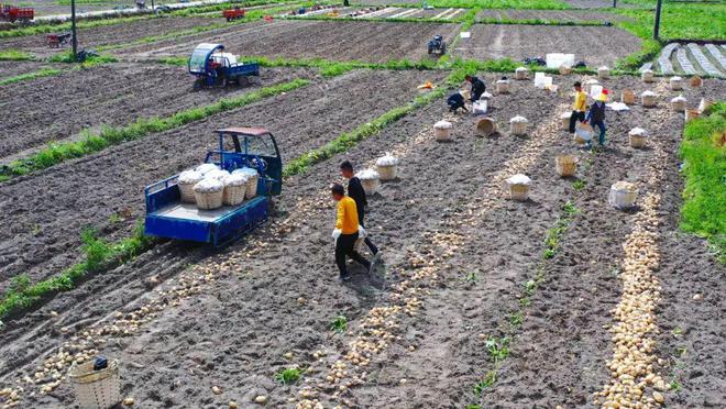 九游娱乐NineGame：铁涌镇：2024年经济与民生双提升2025年再绘宜居乡