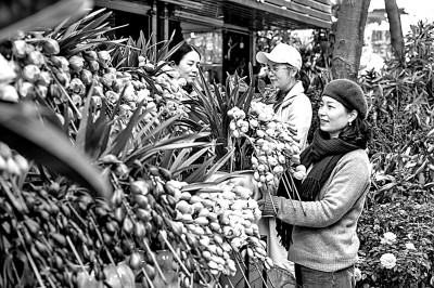 迈上新高度续写新华章——盘点2024年中国经济“成绩单”(图2)