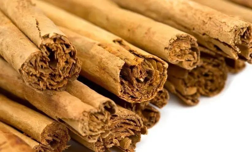 “印度洋珍珠”再次闪耀东博会第22届东博会特邀合作伙伴：斯里兰卡(图4)