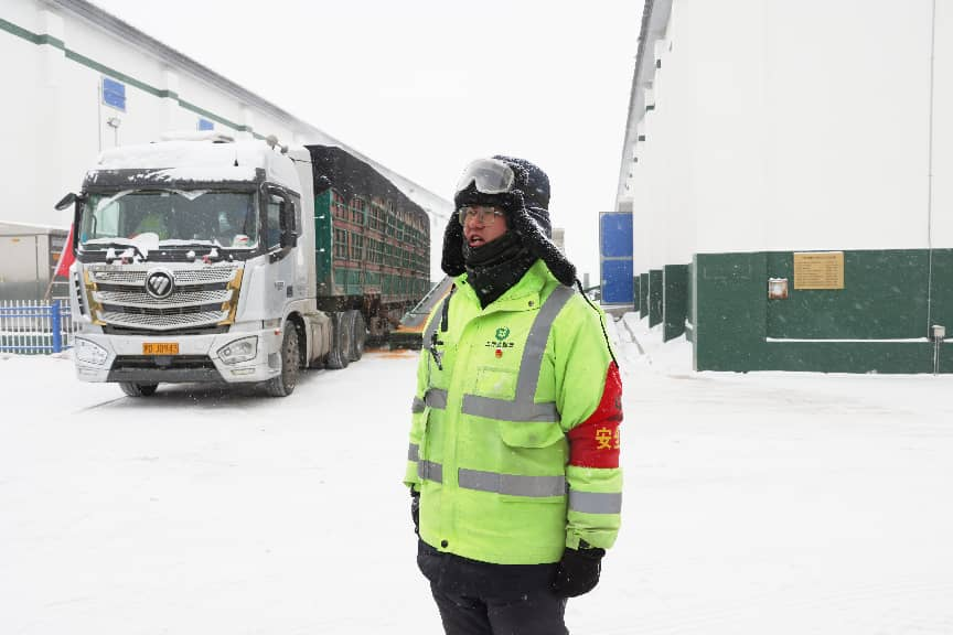 粮安天下储稳民心——中储粮推进粮食收购高质量发展的实践密码