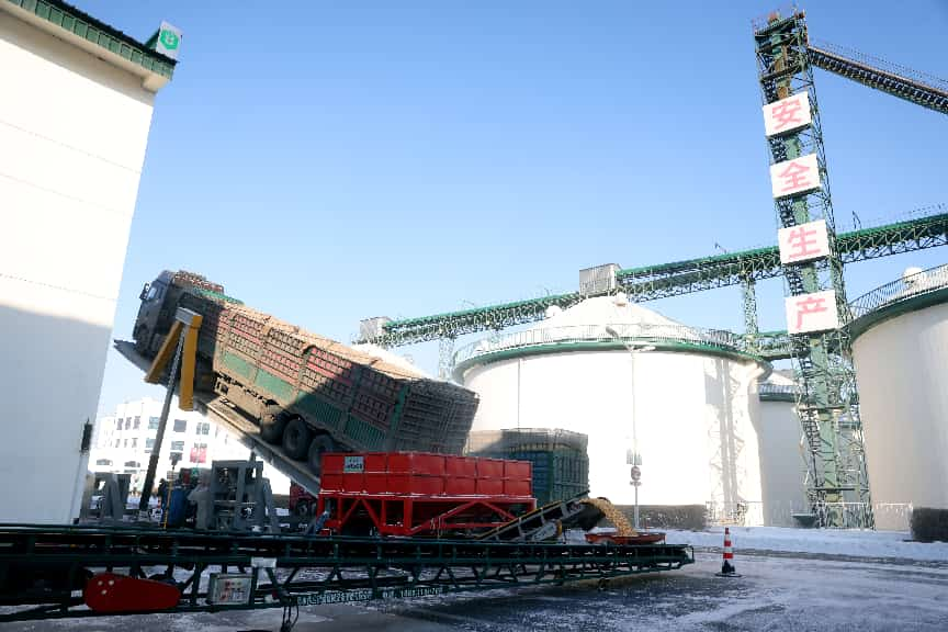 粮安天下储稳民心——中储粮推进粮食收购高质量发展的实践密码(图2)