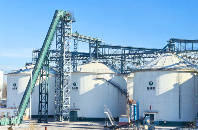 粮安天下储稳民心——中储粮推进粮食收购高质量发展的实践密码(图12)
