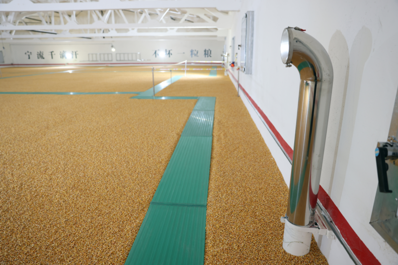 粮安天下储稳民心——中储粮推进粮食收购高质量发展的实践密码(图4)