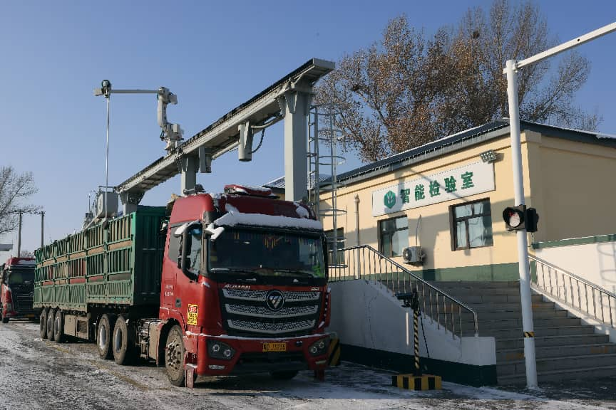 粮安天下储稳民心——中储粮推进粮食收购高质量发展的实践密码(图9)