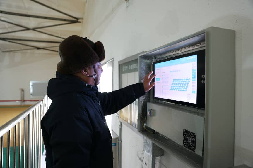 粮安天下储稳民心——中储粮推进粮食收购高质量发展的实践密码(图8)