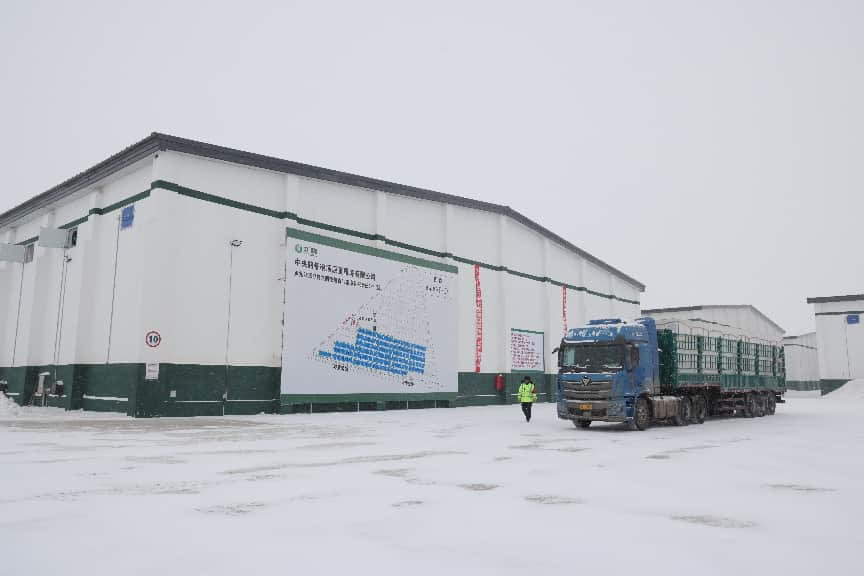 粮安天下储稳民心——中储粮推进粮食收购高质量发展的实践密码(图7)