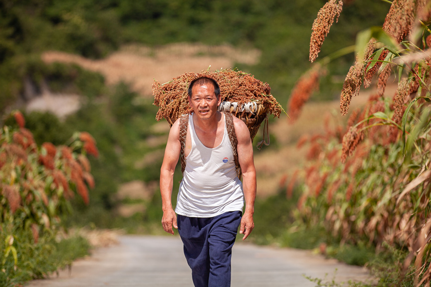 “五个最”战略仁怀的底气和路径(图5)