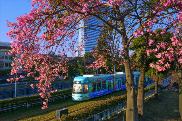 九游娱乐：时隔5年GDP增速跑赢全国全省：广州找回了什么？(图2)