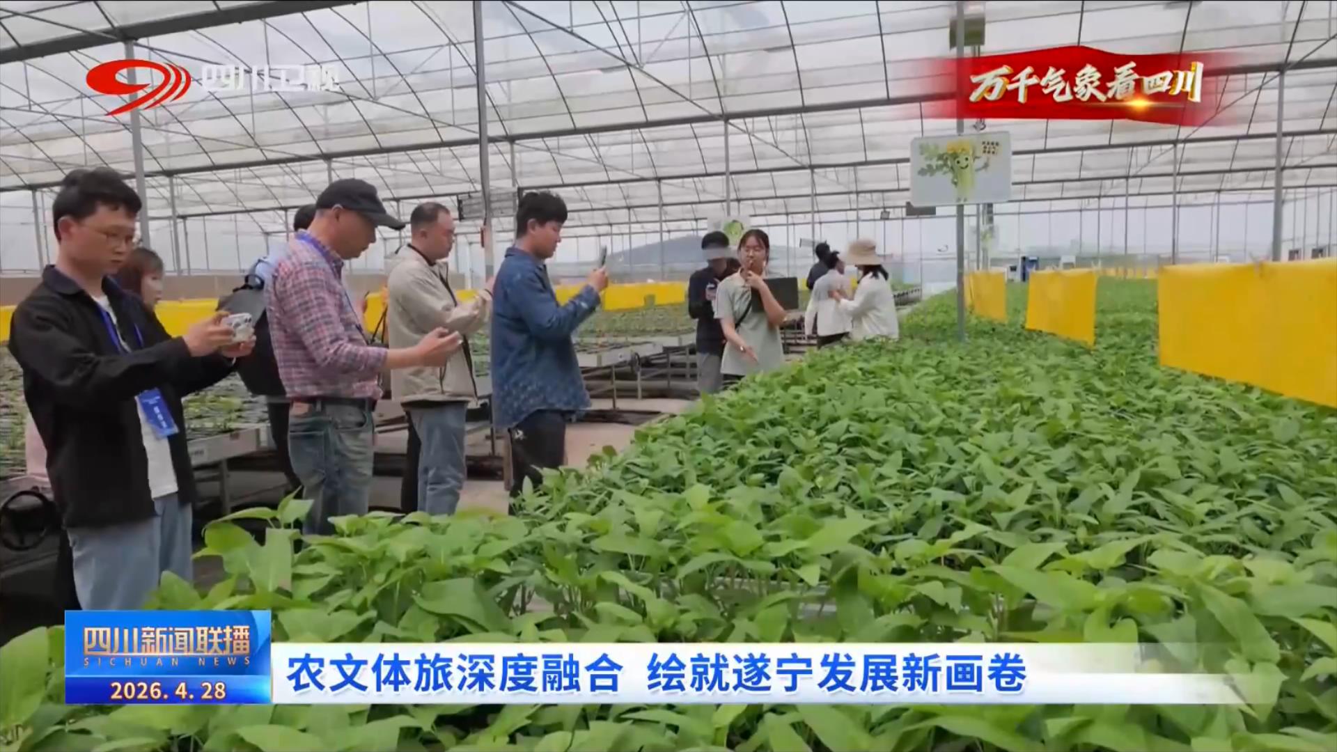 九游娱乐NineGame：四川新闻联播丨农文体旅深度融合绘就遂宁发展新画卷(图2)