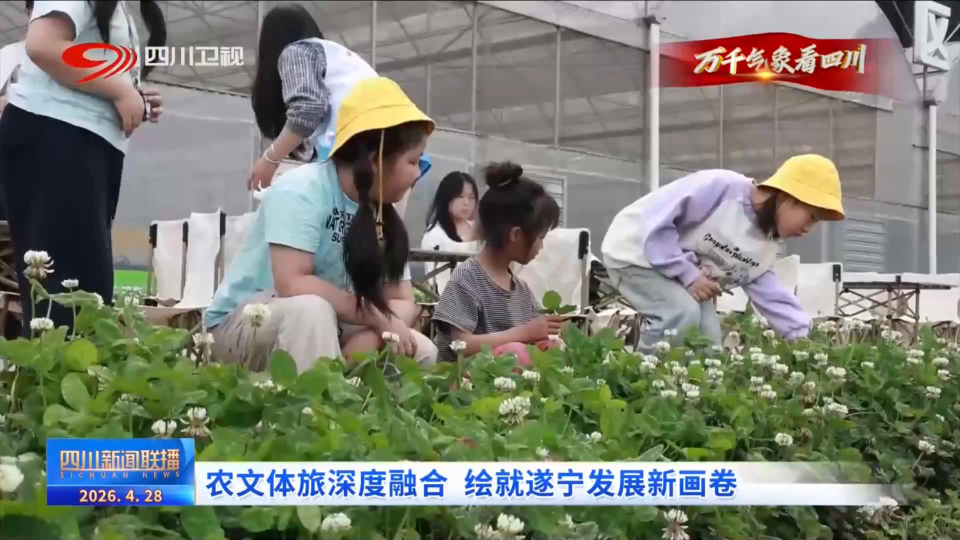 九游娱乐NineGame：四川新闻联播丨农文体旅深度融合绘就遂宁发展新画卷(图4)